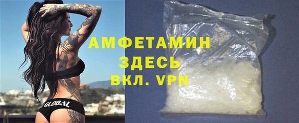 дживик Верхний Тагил