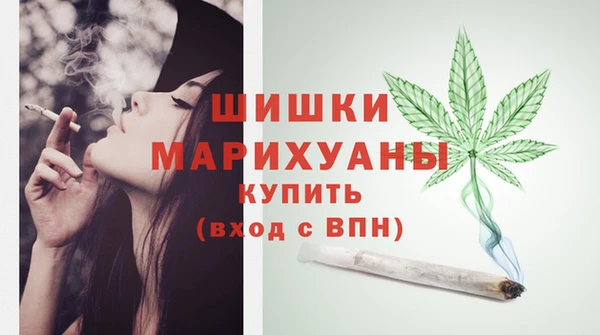 дживик Верхний Тагил