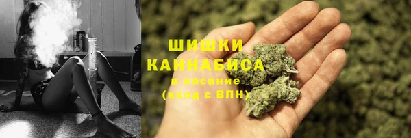 дживик Верхний Тагил