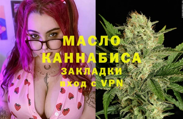 дживик Верхний Тагил