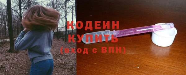 дживик Бородино