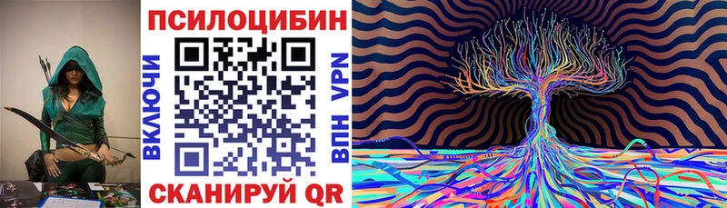 Купить  Зима  Галлюциногенные грибы Psilocybe 
